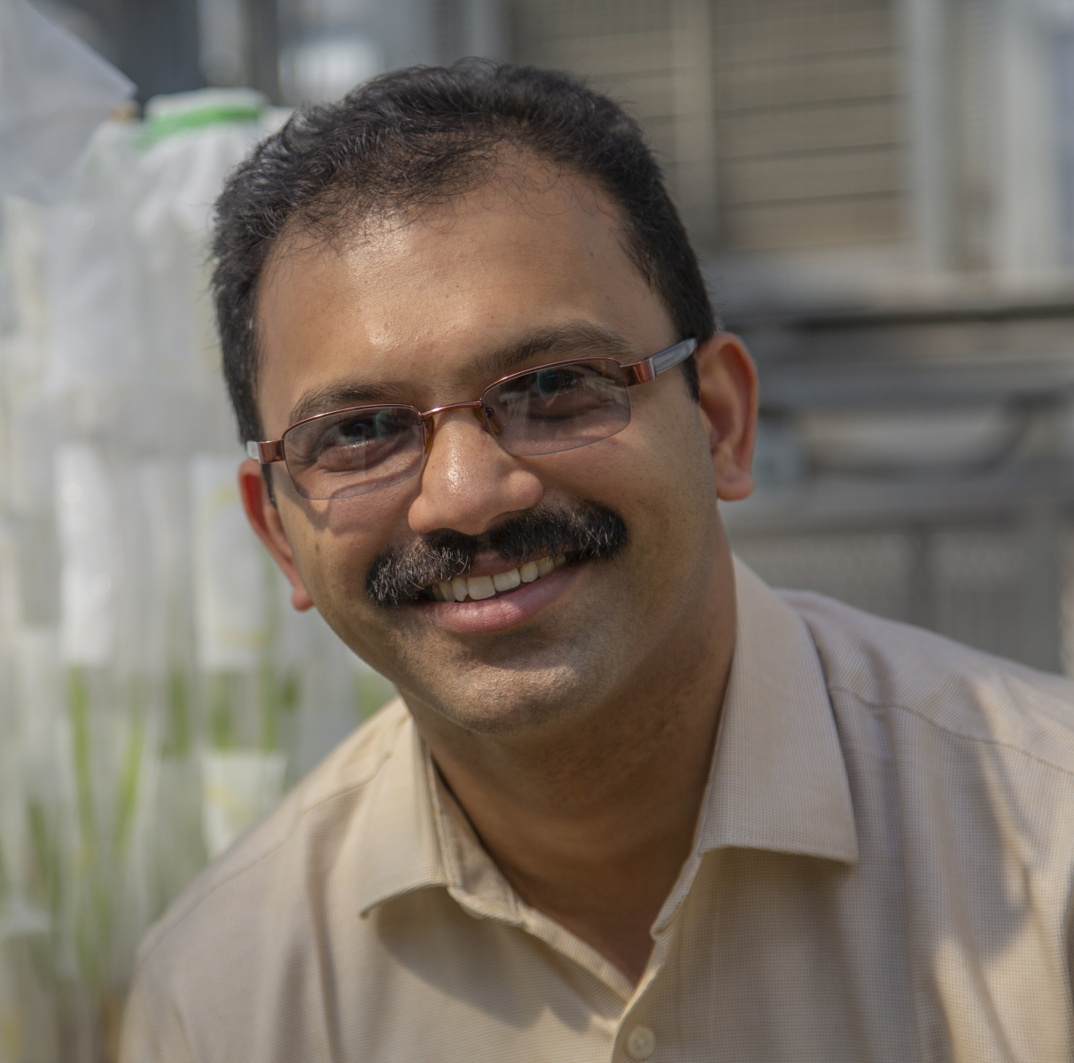 Entomological Society of America honors Louis, Puri, Ikuze for research achievement 