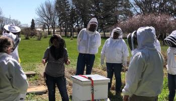 students in bee suits