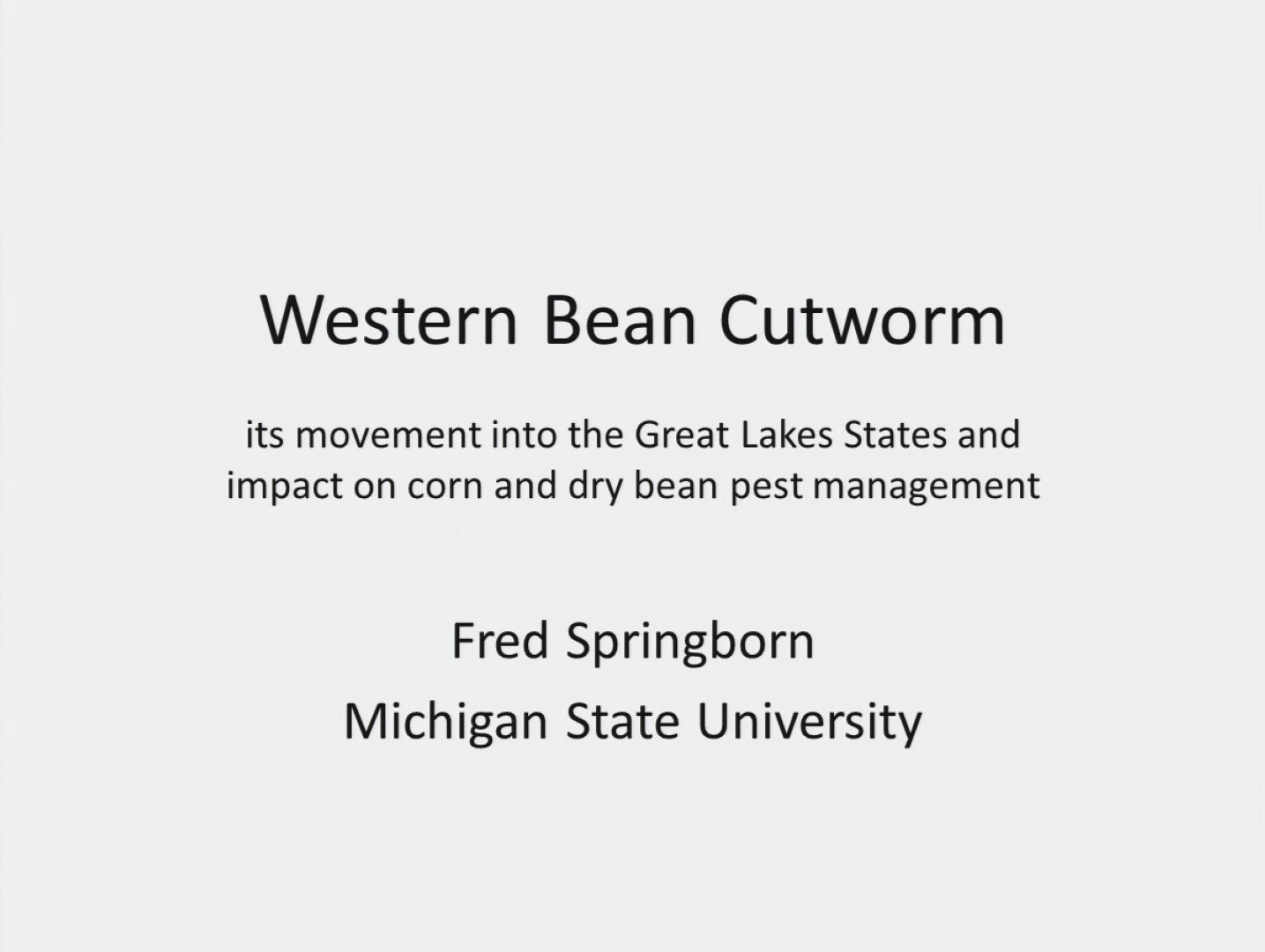 Western Bean Cutworm slideshow
