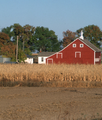 farm picture