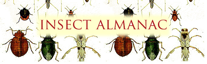 insect almanac