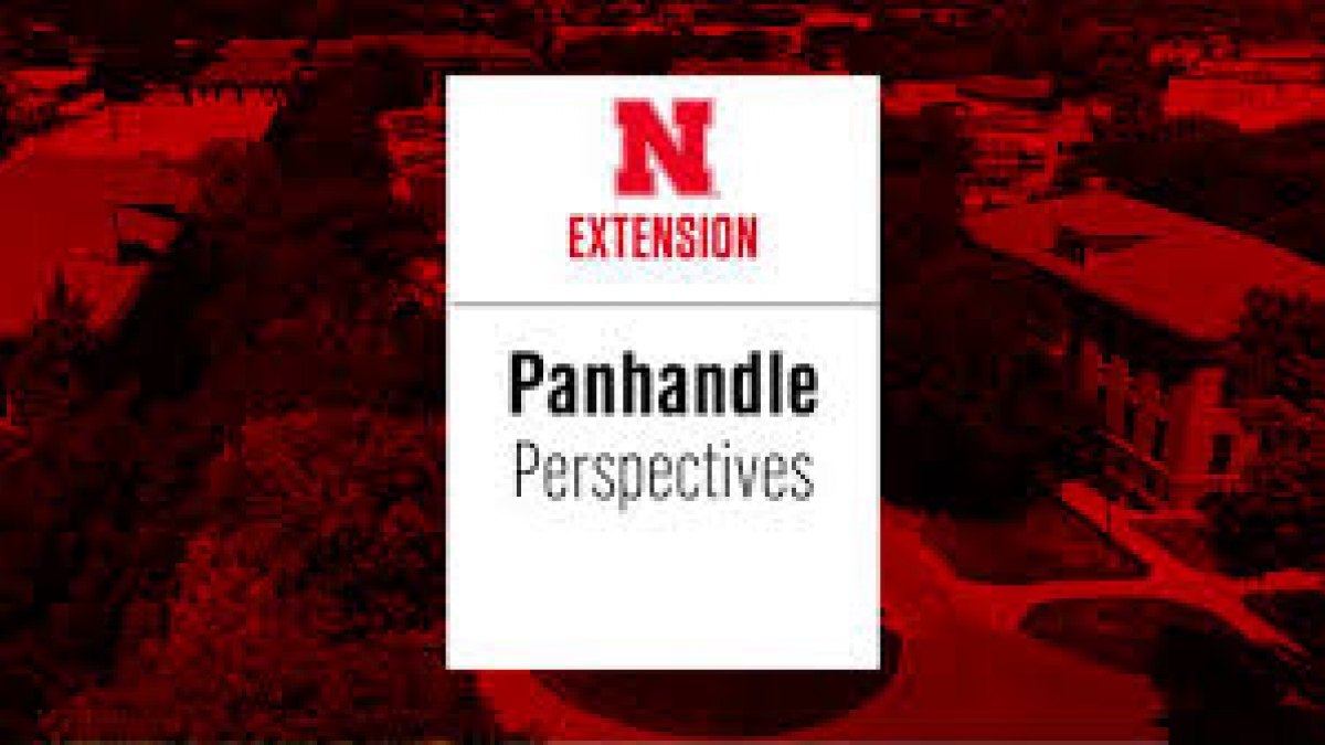 Panhandle Perspectives: Wheat stem sawfly roundup 2020