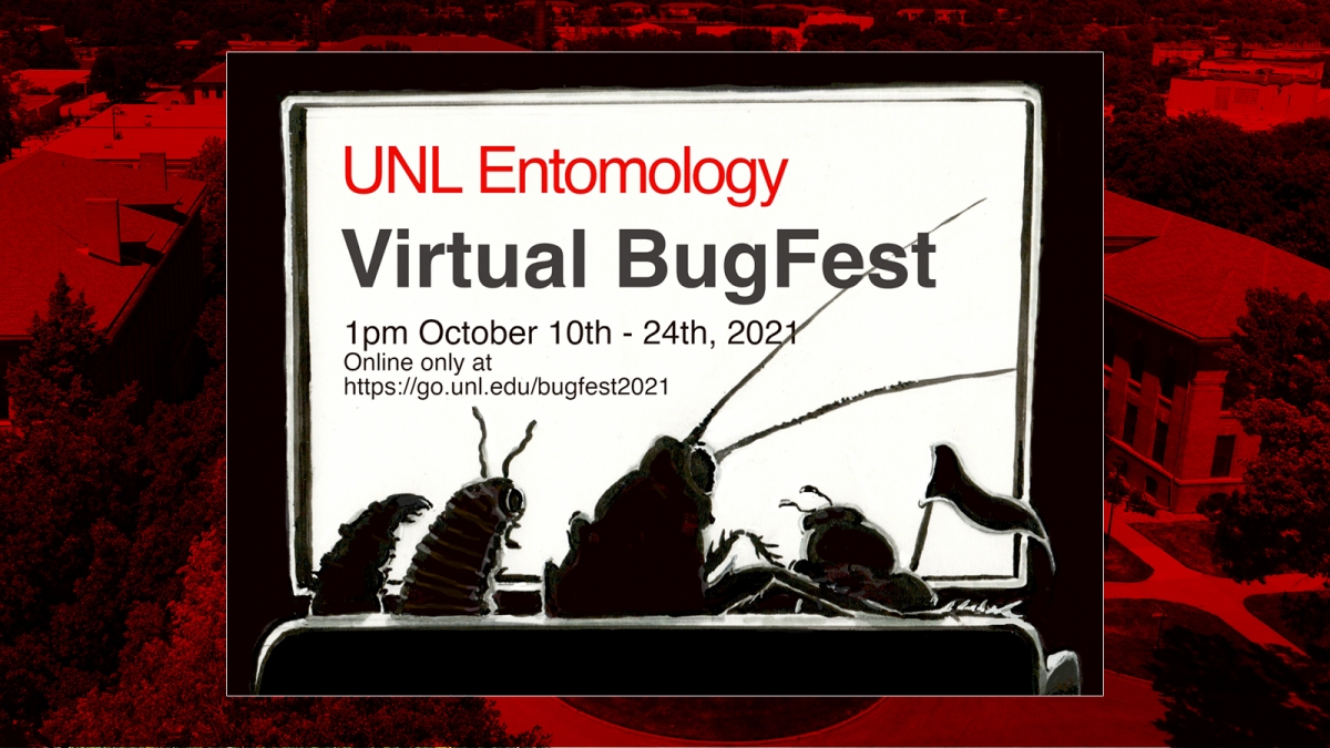 UNL’s annual BugFest event to be virtual this year 