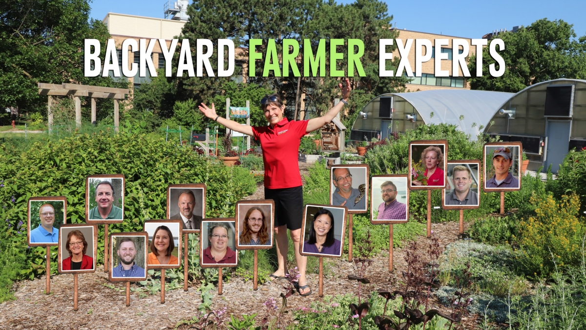 Backyard Farmer to film season finale with live audience Sept. 1