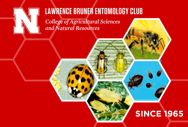 Lawrence Bruner Entomology Club College of Agricultural Sciences and Natural Resources Since 1965