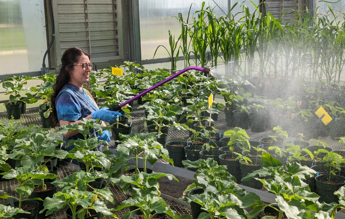 Araceli Gomez watering plants