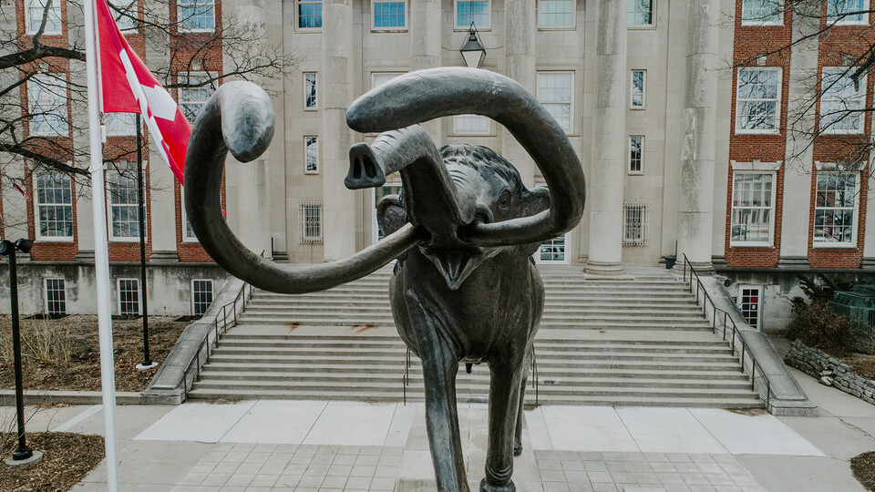 Image of Archie, the Mammoth, in front of Morrill Hall
