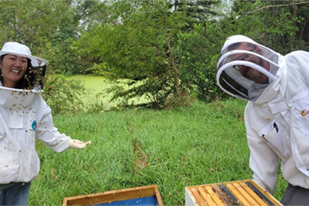 Dr. Wu-Smart & Luke Norris, research technician, work on bee hives.