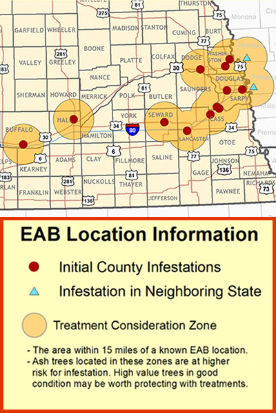 map showing Emerald Ash Borer populations in Nebraska counties Buffalo, Hall, Seward, Lancaster, Cass, Sarpy, Saunders, Dodge, Douglas, and Washington