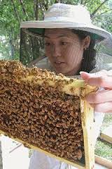 Dr. Judy Wu-Smart profile picture holding frame of bees