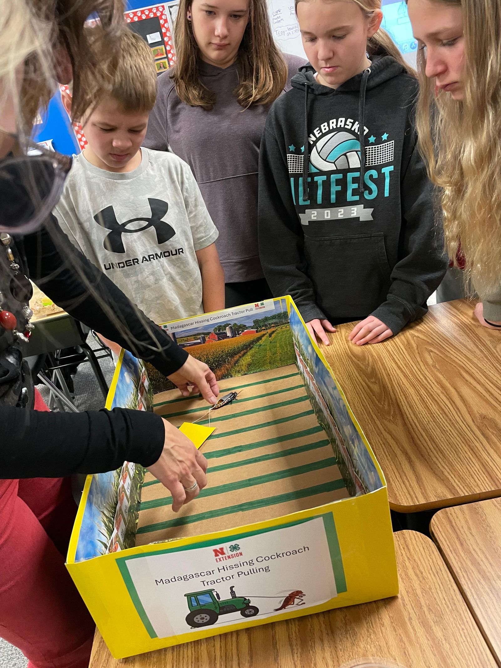 Madagascar Hissing Cockroach Tractor Pull activity with 6th graders hosted by Nebraska Extension