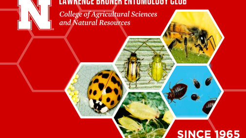 Bruner Club