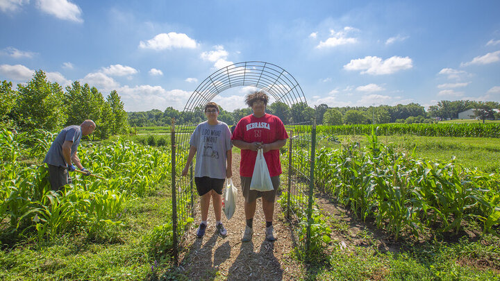Ted Hibbeler (from left) and brothers Gabe and Mateo Perales work in the Indigenous Garden on East Campus. Photo by Kateri Hartman, University Communications.