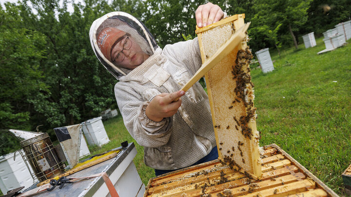 Shelby Kittle working with bee frame.
