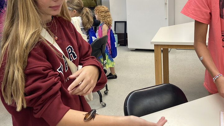 Girl holding cockroach