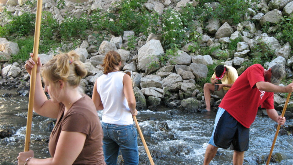 Entomology students collect aquatic insects