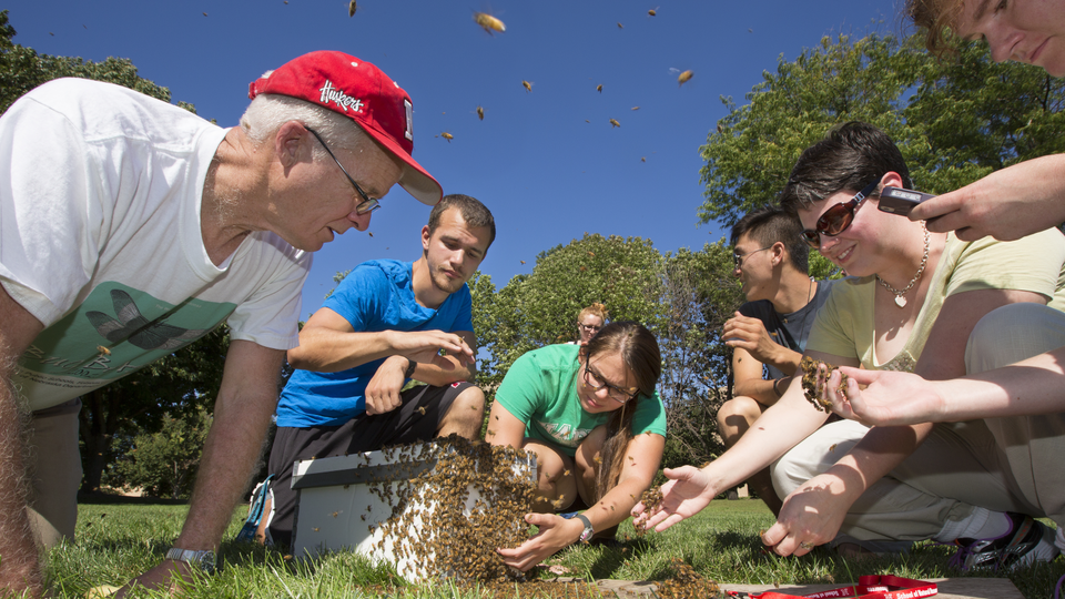 Dr. Marion Ellis, emeriti, teaches students about bees. 