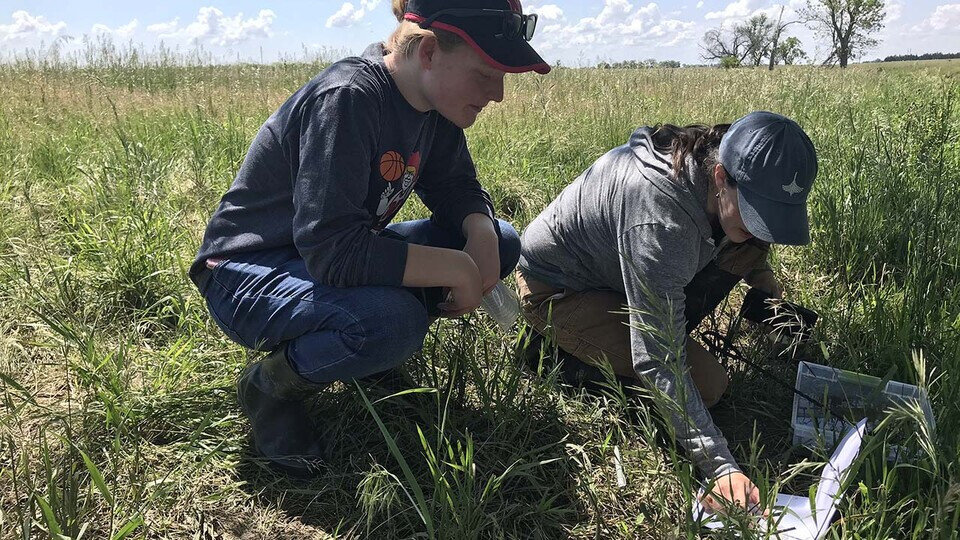 Experiential Learning for One Health Program