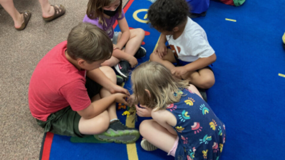 Kids sorting bugs