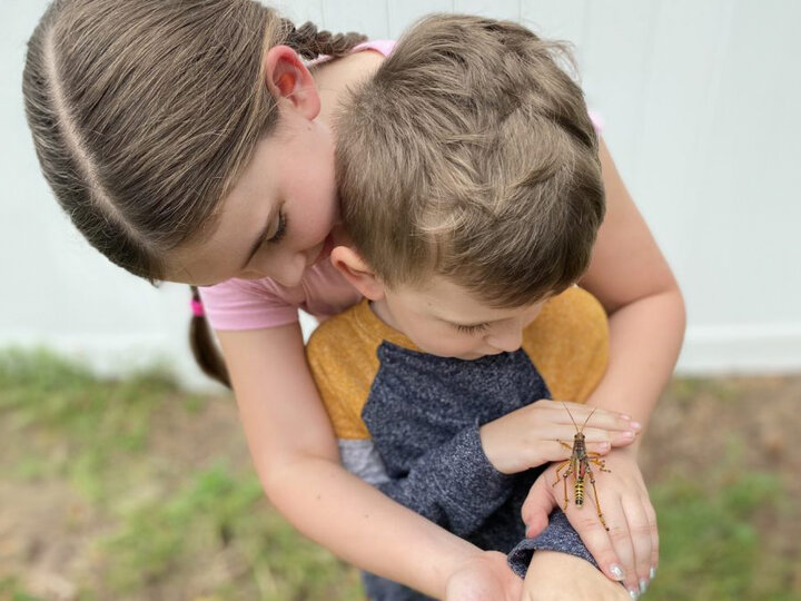 Photo of two children looking at a grasshopper