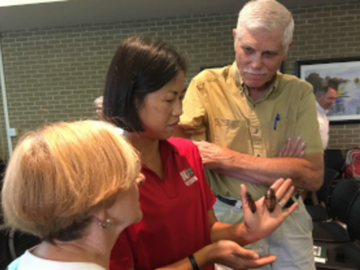 Jody Green displays Madagascar Hissing Cockroaches.