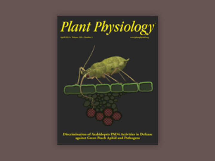 Plant Physiology Book Cover