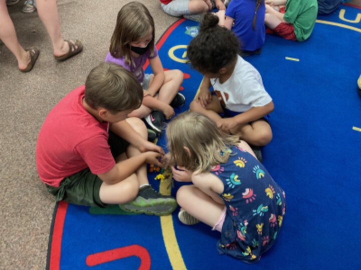 Kids sorting bugs